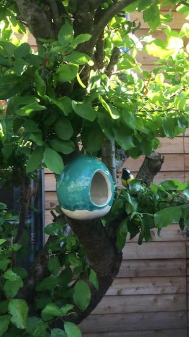 Deborah's Hiding Place Apartment *
